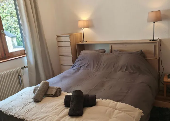 Le Nid Des Loups Abreschviller